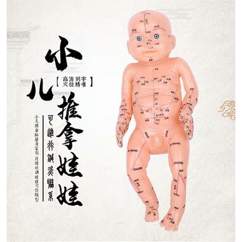 经络小儿推拿培训(热门小儿推拿按摩培训)